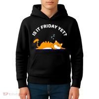 Cat Lover Funny Sleepy Cat Is It Friday Yet Cat Nap Kids Hoodie thumb 4