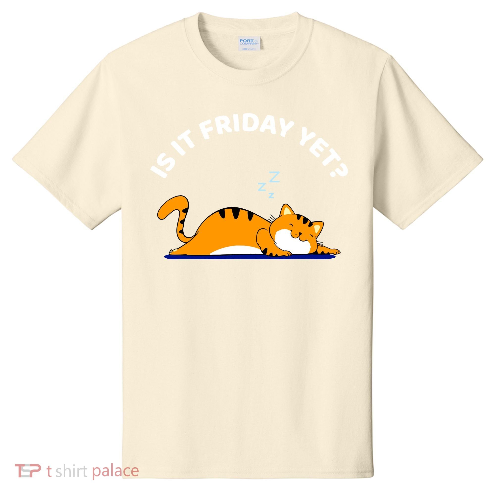 Cat Lover Funny Sleepy Cat Is It Friday Yet Cat Nap T-Shirt