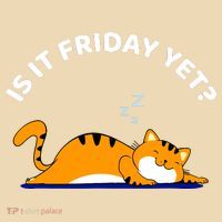 Cat Lover Funny Sleepy Cat Is It Friday Yet Cat Nap Baby Bodysuit thumb 2