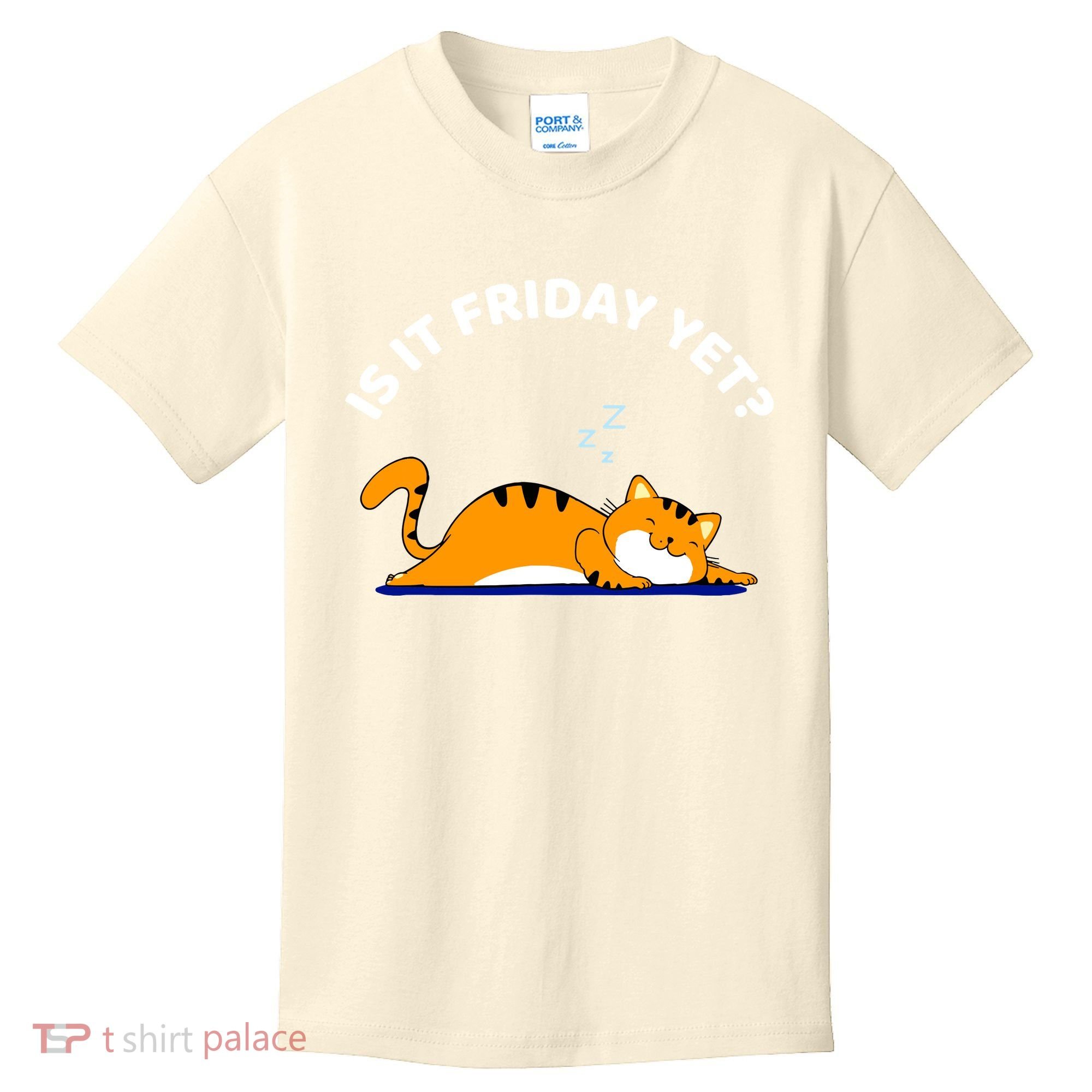 Cat Lover Funny Sleepy Cat Is It Friday Yet Cat Nap Kids T-Shirt