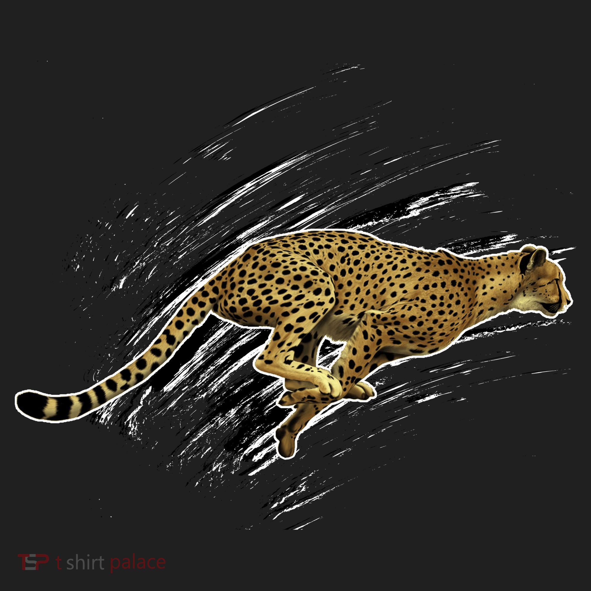 Cheetah Lover Gift Cool Cheetah Gift Women's Sweatshirt