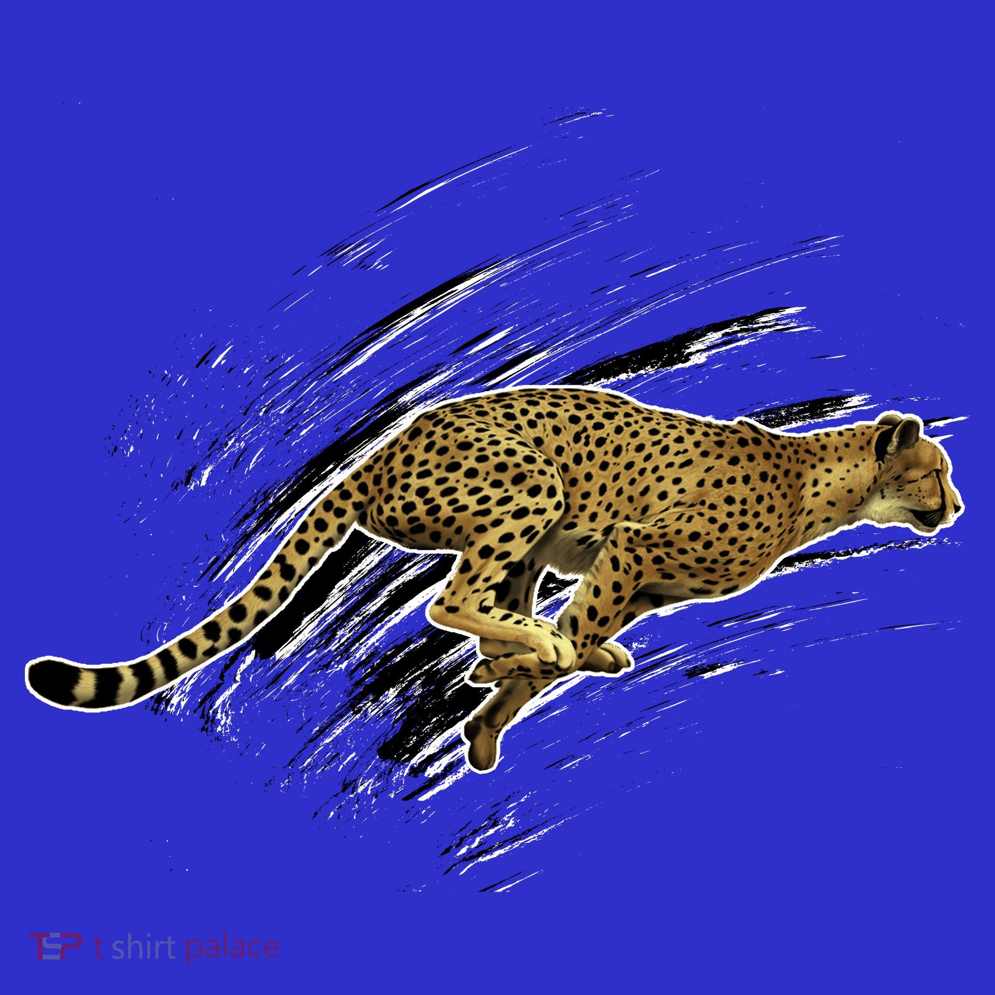Cheetah Lover Gift Cool Cheetah Gift Visor