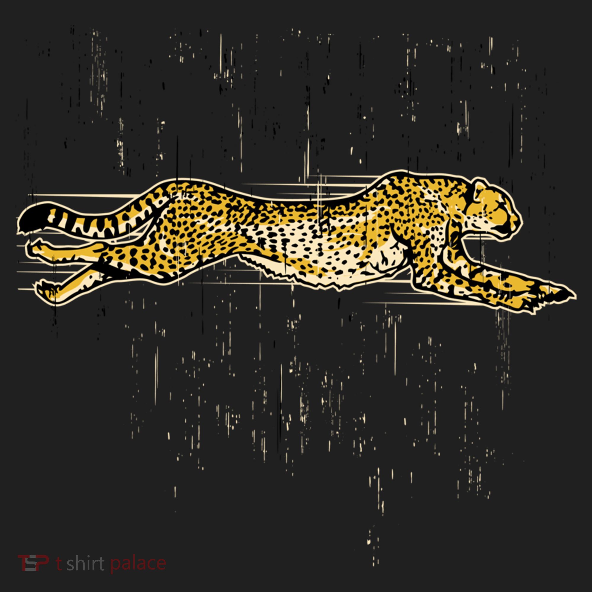 Cheetah Lover Gift Cool Cheetah Gift Women's Sweatshirt