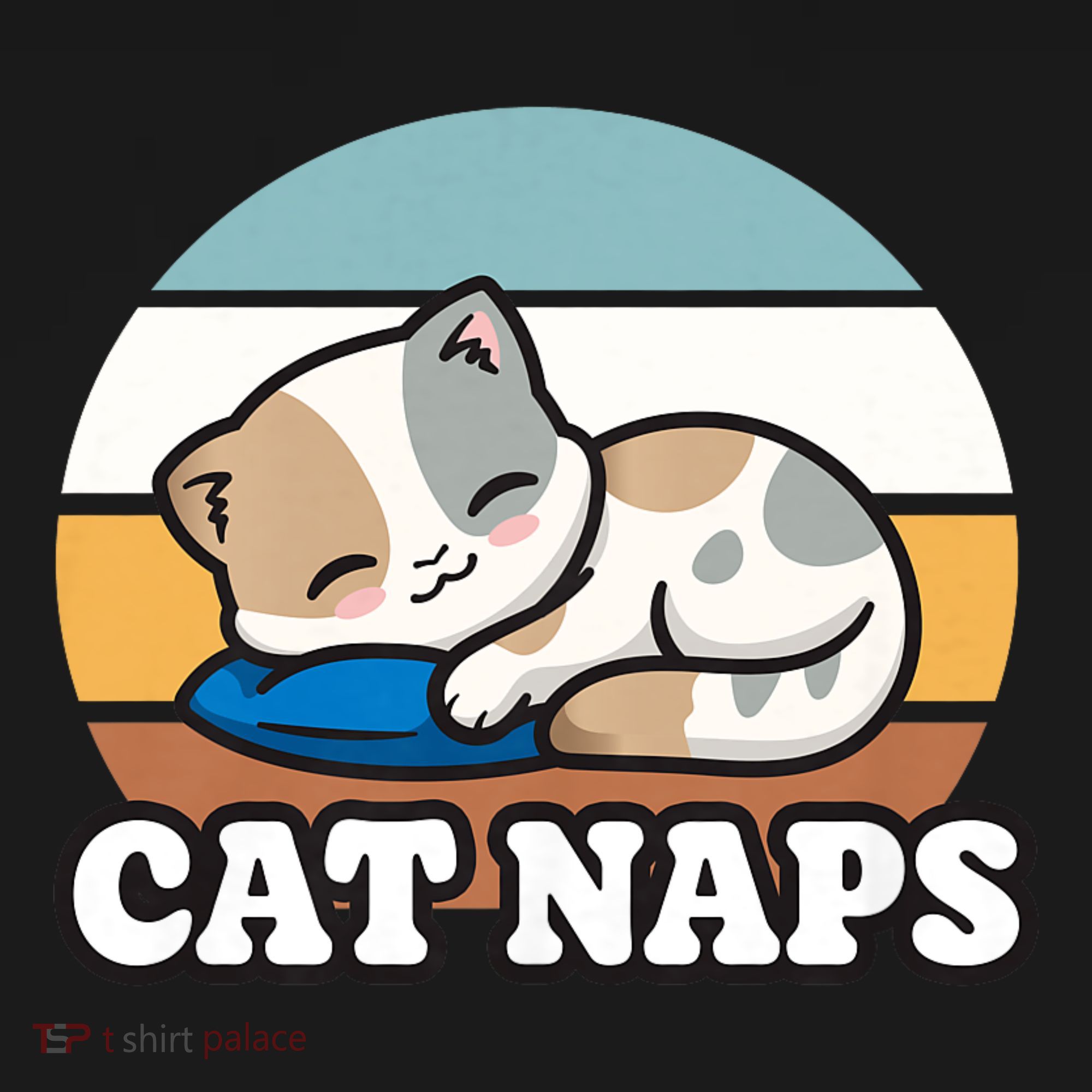 Cat Lovers Gift Nap Lover Sleepy Cute Kawaii Cat Naps Women's Hoodie