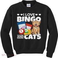 Cat Lover I Love Bingo And Cats Gambling Bingo Player Bingo Kids Sweatshirt thumb 0