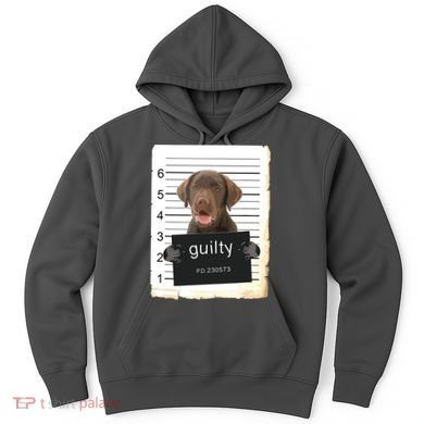Chocolate Lab Labrador Dog Mug Shot Bad Dog Hoodie