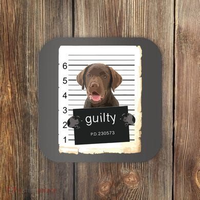 Chocolate Lab Labrador Dog Mug Shot Bad Dog Coaster