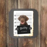 Chocolate Lab Labrador Dog Mug Shot Bad Dog Coaster thumb 0