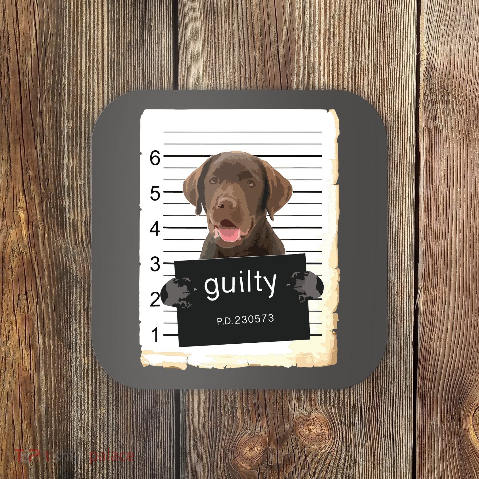 Chocolate Lab Labrador Dog Mug Shot Bad Dog Coaster