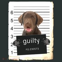 Chocolate Lab Labrador Dog Mug Shot Bad Dog Coaster thumb 2