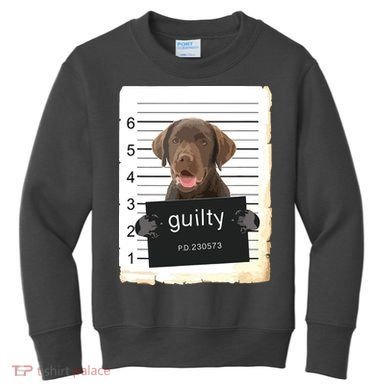 Chocolate Lab Labrador Dog Mug Shot Bad Dog Kids Sweatshirt