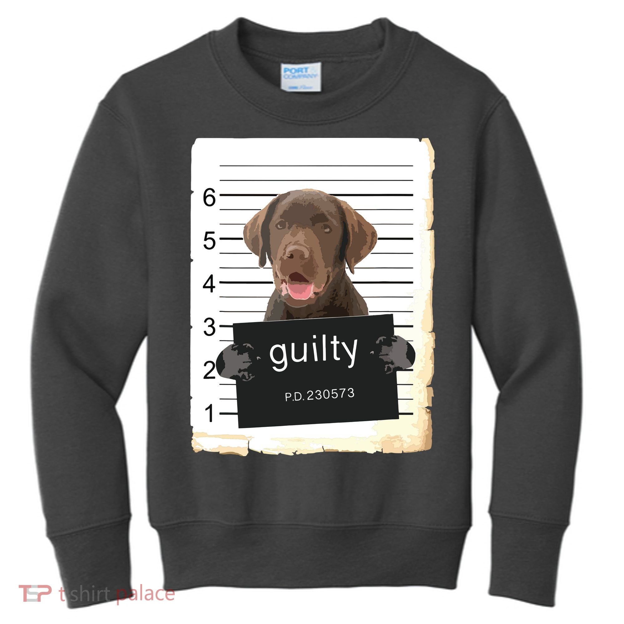 Chocolate Lab Labrador Dog Mug Shot Bad Dog Kids Sweatshirt