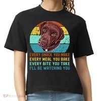 Chocolate Lab Labrador Retriever Dog Every Snack you Make Comfort Colors Boxy T-Shirt thumb 0