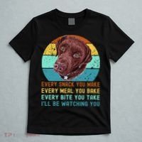 Chocolate Lab Labrador Retriever Dog Every Snack you Make T-Shirt thumb 5