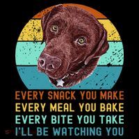 Chocolate Lab Labrador Retriever Dog Every Snack you Make Kids Sweatshirt thumb 2