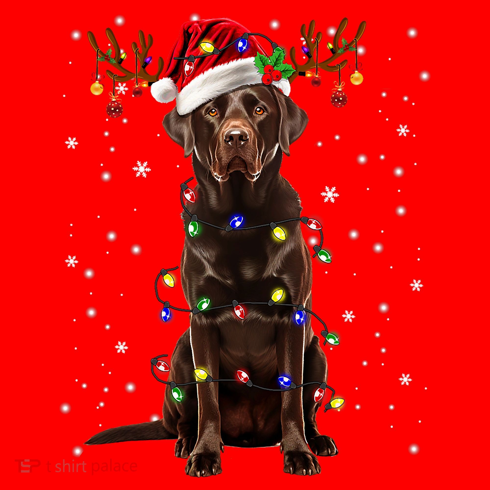 Chocolate Lab Labrador Christmas Tree Light Pajama Dog Xmas Santa Hat