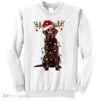 Chocolate Lab Labrador Christmas Tree Light Pajama Dog Xmas Sweatshirt thumb 0