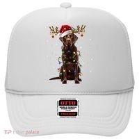 Chocolate Lab Labrador Christmas Tree Light Pajama Dog Xmas Hat thumb 0
