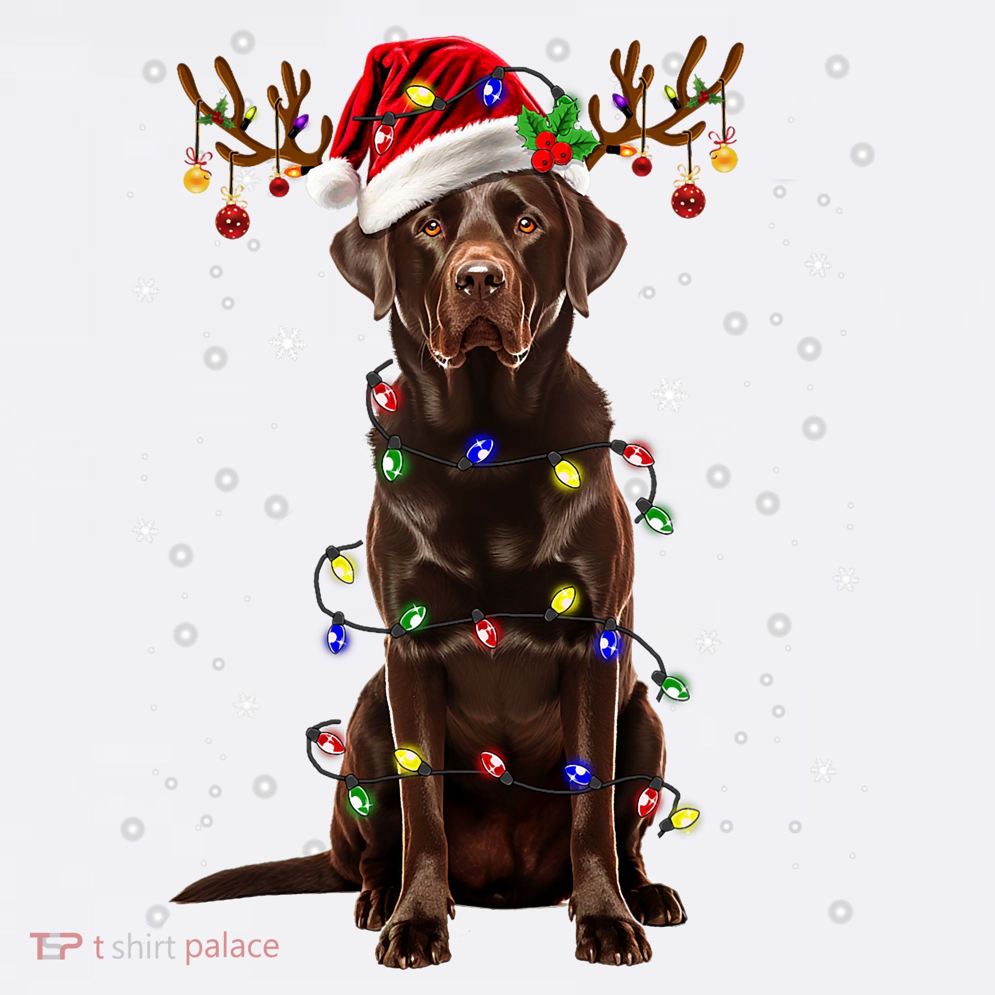 Chocolate Lab Labrador Christmas Tree Light Pajama Dog Xmas Hat