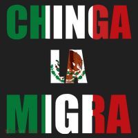 Chinga La Migra Pro Immigration Beanie thumb 2