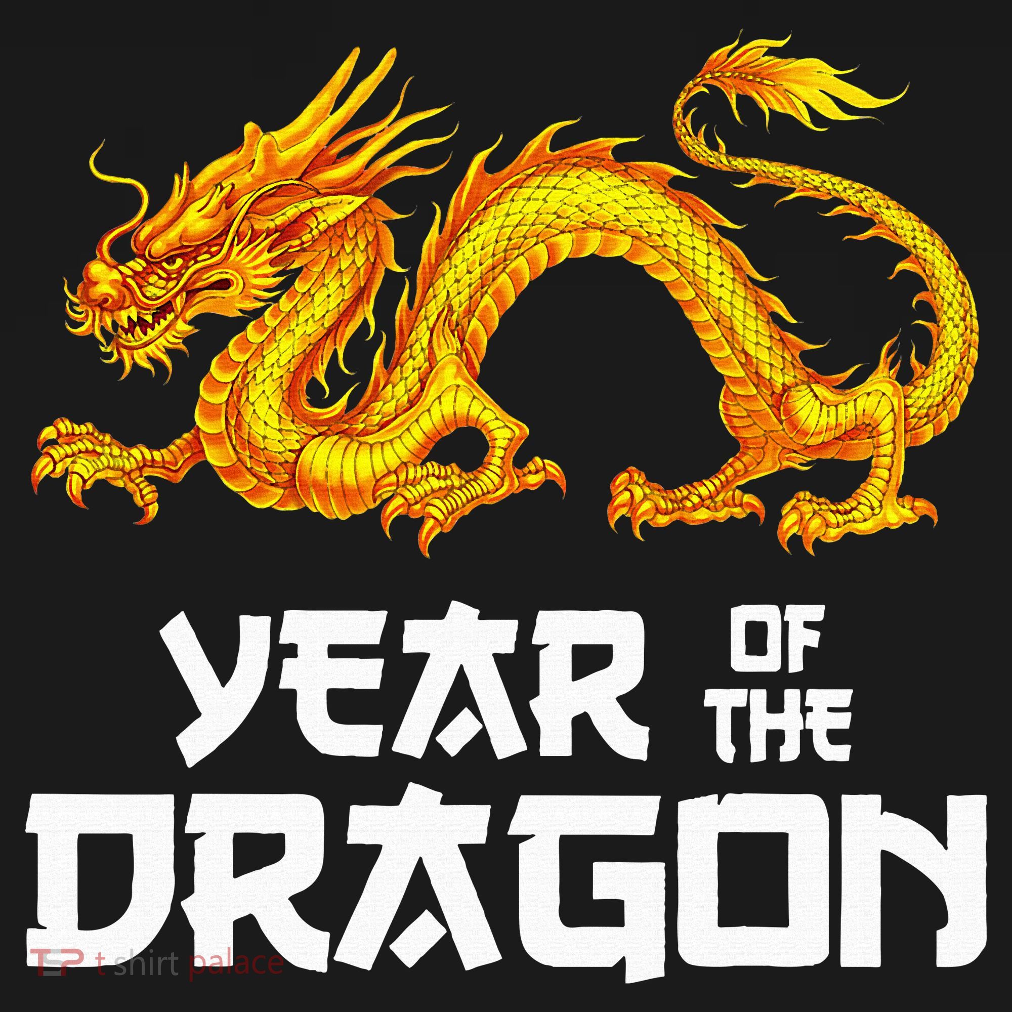 Chinese Lunar New Year 2024 Year Of The Dragon Women's Hoodie