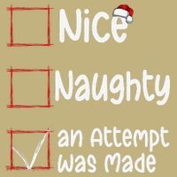 Christmas List Nice Naughty An Attempt Was Made Hoodie thumb 7