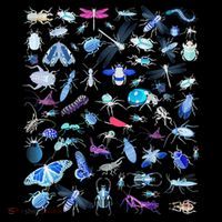 Cool Lots Of Bugs Polo thumb 3