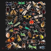 Cool Lots Of Bugs Funny Insect Lover Entomologist Backpack thumb 2