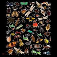 Cool Lots Of Bugs Funny Insect Lover Entomologist Coffee Mug thumb 5