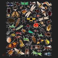 Cool Lots Of Bugs Funny Insect Lover Entomologist Tumbler thumb 3