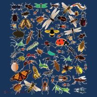Cool Lots Of Bugs Funny Insect Lover Entomologist Women's T-Shirt thumb 6