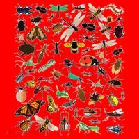 Cool Lots Of Bugs Funny Insect Lover Entomologist Santa Hat thumb 1