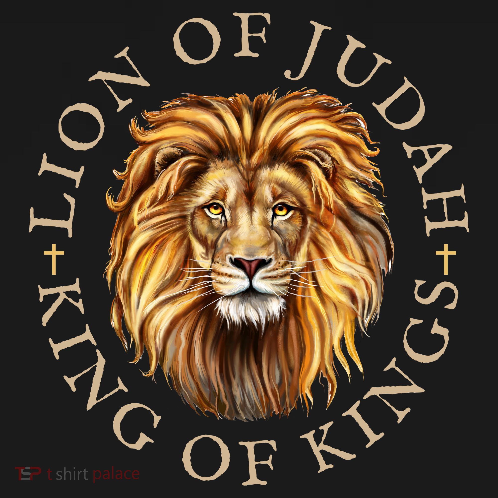 Christian Lion Of Judah Jesus Christ Gift Women's Hoodie