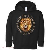 Christian Lion Of Judah Jesus Christ Gift Toddler Hoodie thumb 0