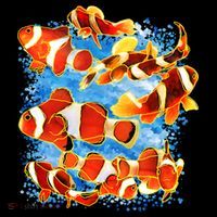 Clown Fish Hoodie thumb 7