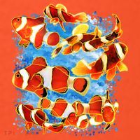 Clown Fish Polo thumb 2