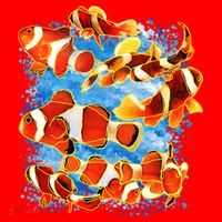 Clown Fish Santa Hat thumb 1