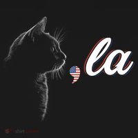 Comma La Patriot Cat Lover For Harris Walz 2024 Cool Gift Women's Hoodie thumb 2