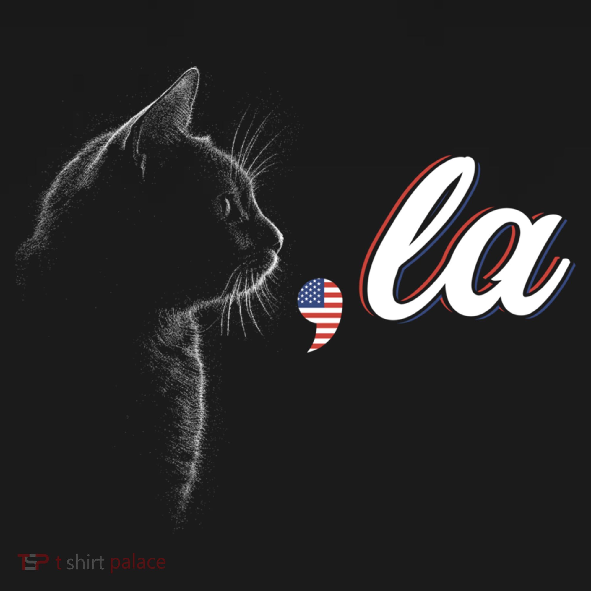 Comma La Patriot Cat Lover For Harris Walz 2024 Cool Gift Women's Hoodie