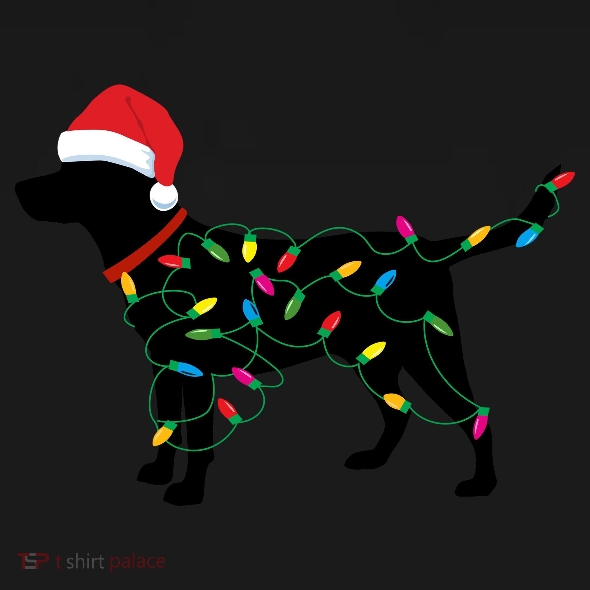 Christmas Labrador Retriever In Santa Hat Xmas Lights Funny Gift Women's Hoodie