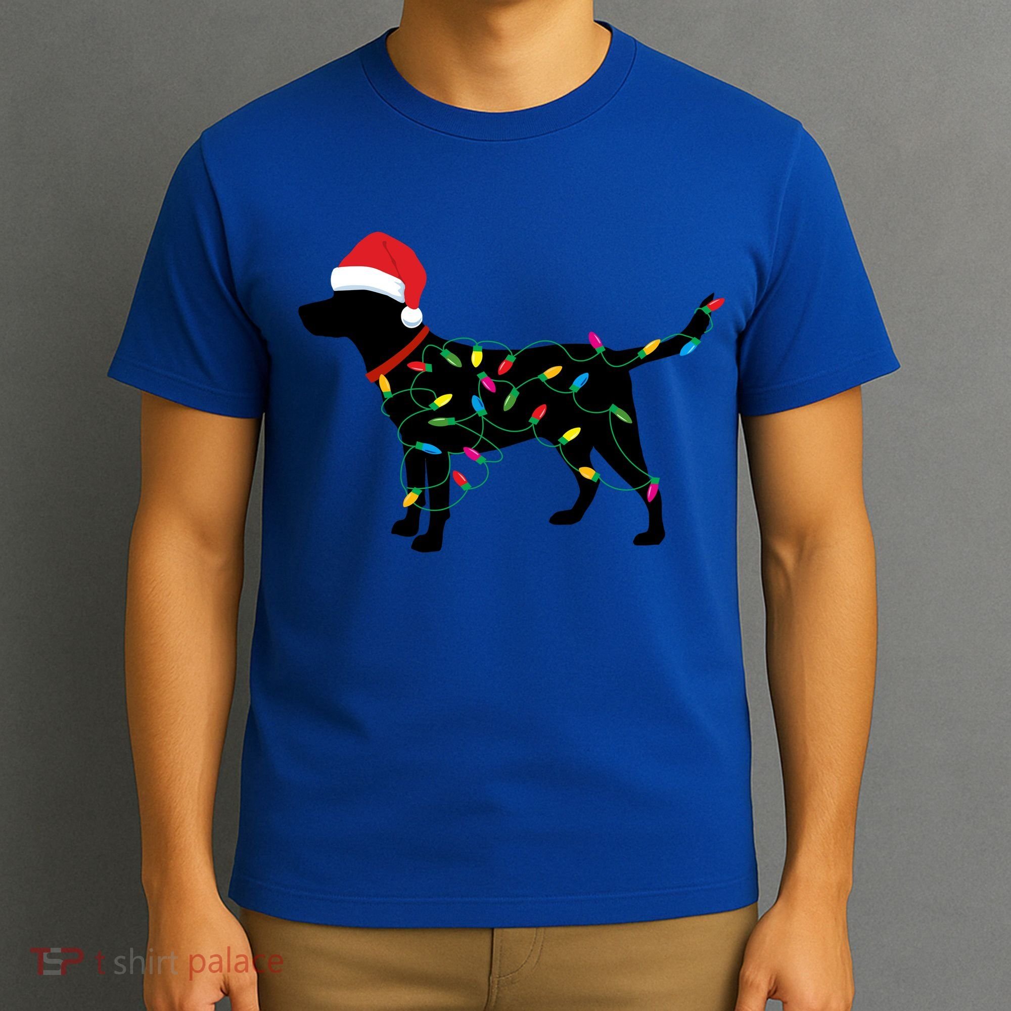 Christmas Labrador Retriever In Santa Hat Xmas Lights Funny Gift T-Shirt