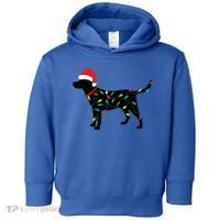 Christmas Labrador Retriever In Santa Hat Xmas Lights Funny Gift Toddler Hoodie thumb 0