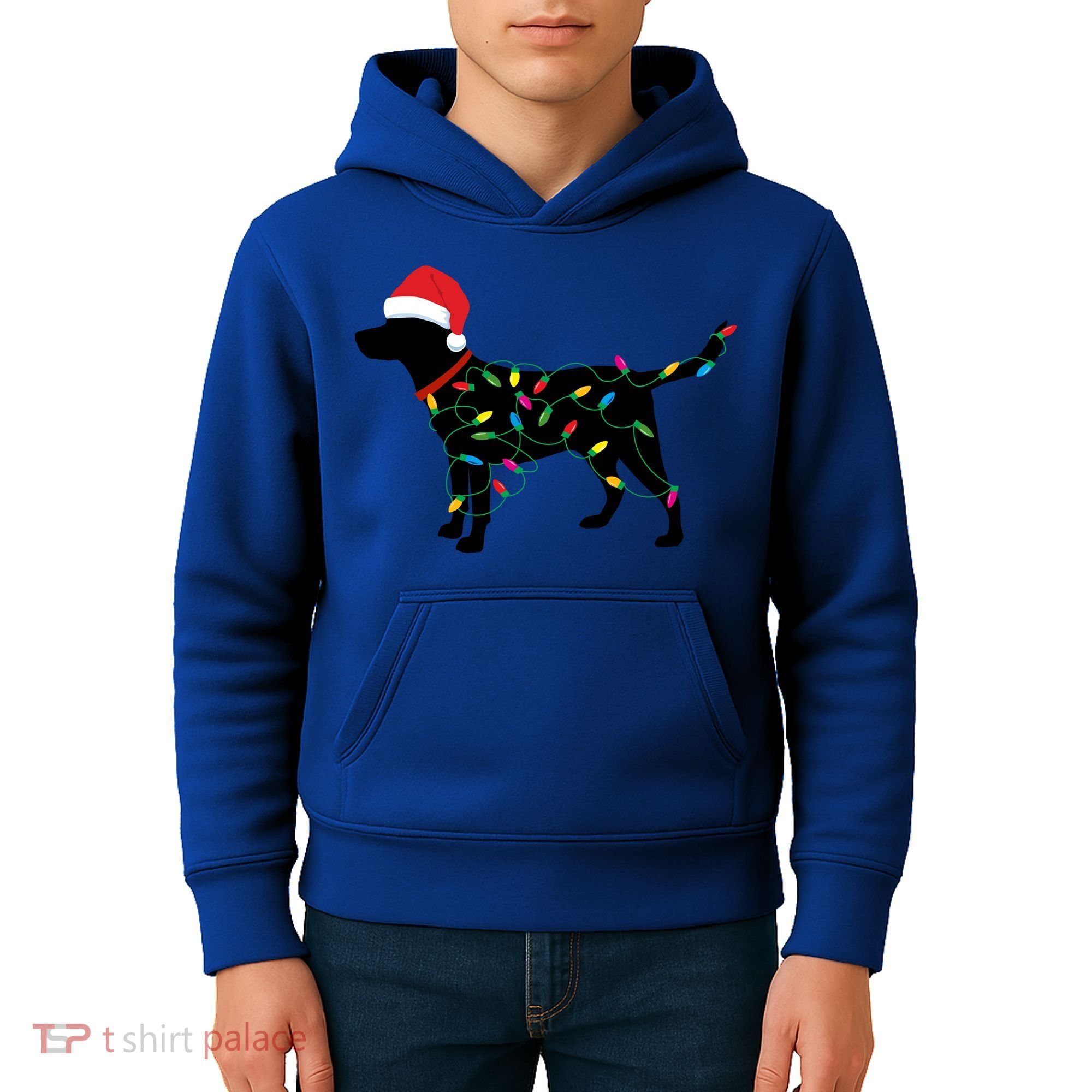 Christmas Labrador Retriever In Santa Hat Xmas Lights Funny Gift Kids Hoodie