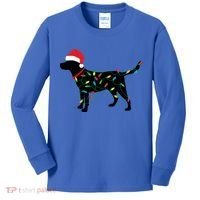 Christmas Labrador Retriever In Santa Hat Xmas Lights Funny Gift Kids Long Sleeve Shirt thumb 0