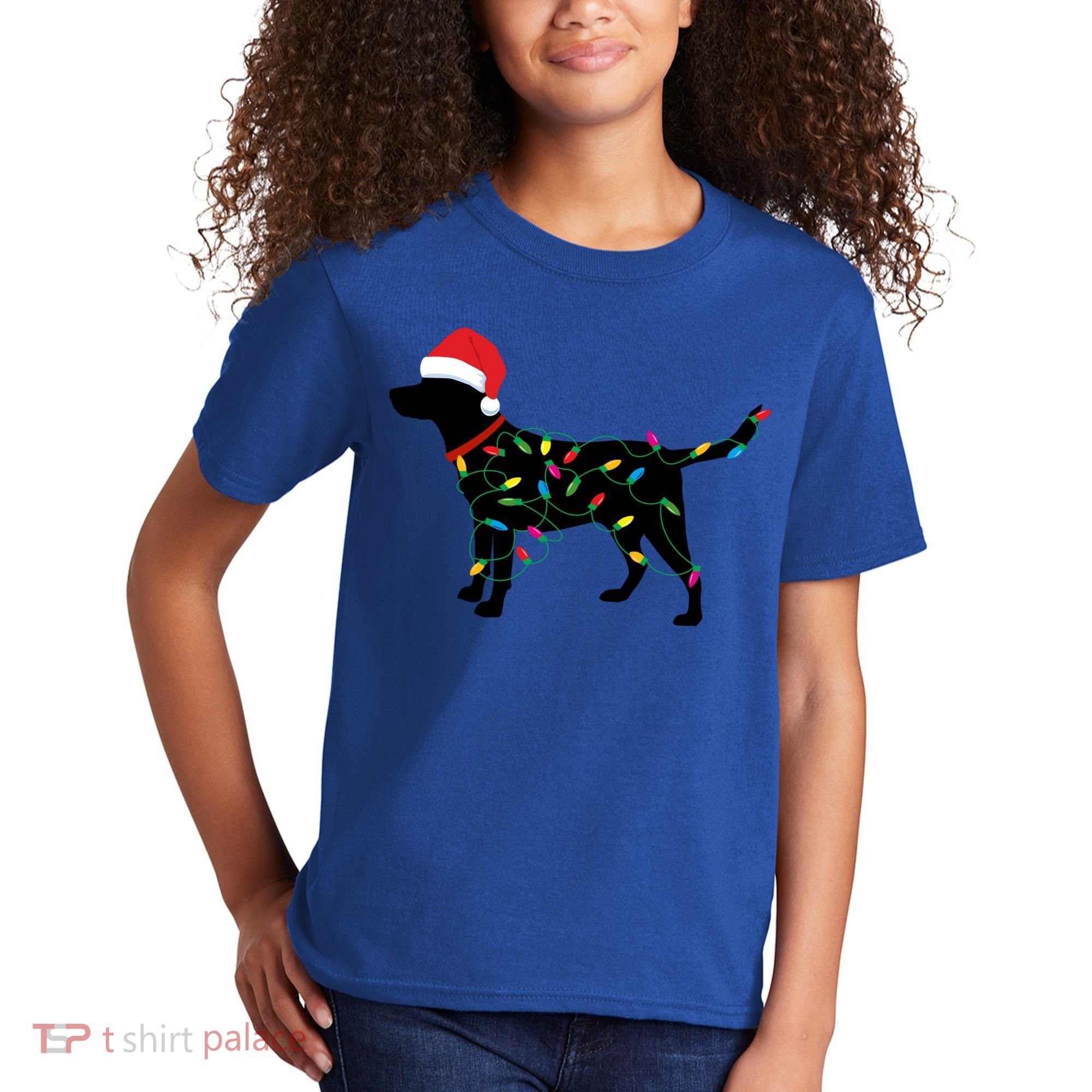 Christmas Labrador Retriever In Santa Hat Xmas Lights Funny Gift Kids T-Shirt