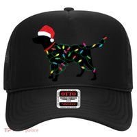 Christmas Labrador Retriever In Santa Hat Christmas Lights Holiday Dog Gift Sant Hat thumb 0