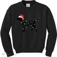 Christmas Labrador Retriever In Santa Hat Christmas Lights Holiday Dog Gift Sant Kids Sweatshirt thumb 0