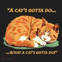 Cat Lover Sleeping Cat A Cats Gotta Do Funny Cat Saying Women's Sweatshirt thumb 2
