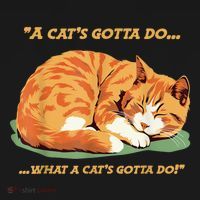 Cat Lover Sleeping Cat A Cats Gotta Do Funny Cat Saying Hoodie thumb 7