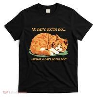 Cat Lover Sleeping Cat A Cats Gotta Do Funny Cat Saying T-Shirt thumb 0